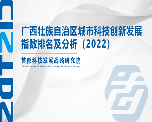 日毛B【成果发布】广西壮族自治区城市科技创新发展指数排名及分析（2022）